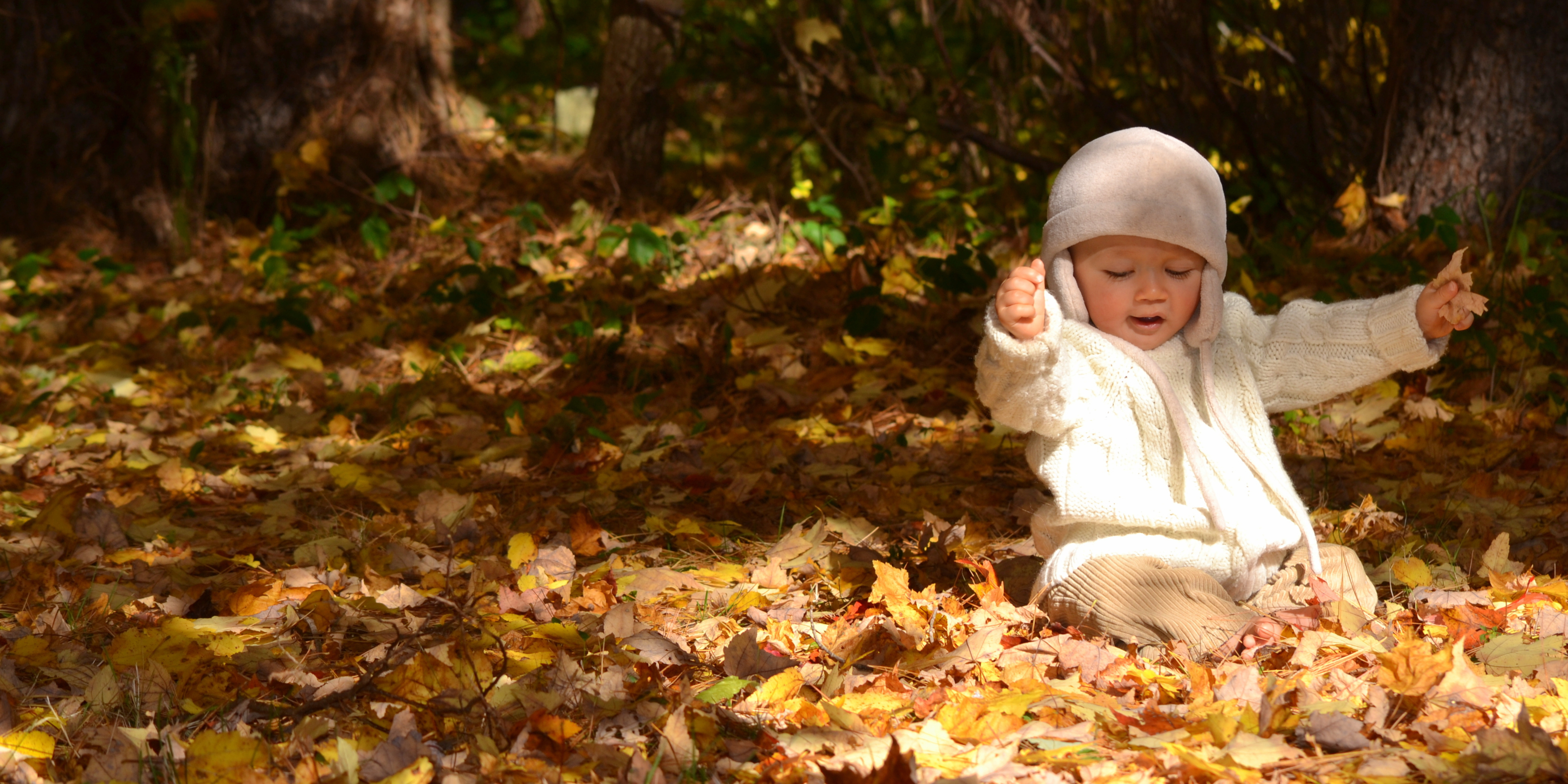 Que faire en automne ?